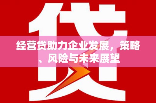 宣汉经营贷助力企业发展，策略、风险与未来展望