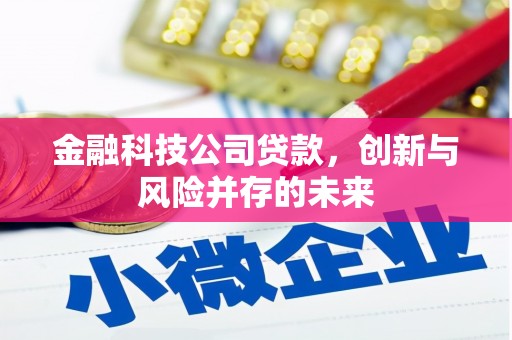 宣汉金融科技公司贷款，创新与风险并存的未来