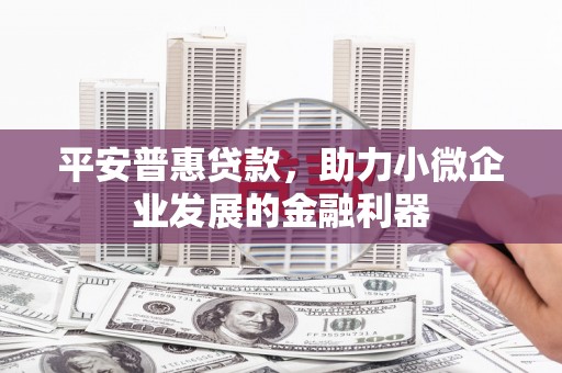 宣汉平安普惠贷款，助力小微企业发展的金融利器