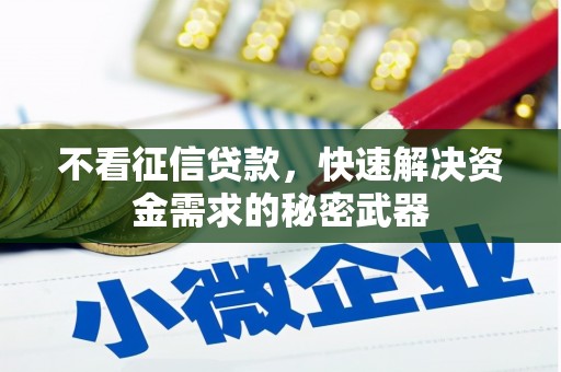 宣汉不看征信贷款，快速解决资金需求的秘密武器