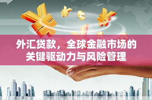 宣汉外汇贷款，全球金融市场的关键驱动力与风险管理