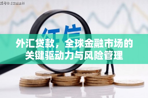 宣汉外汇贷款，全球金融市场的关键驱动力与风险管理