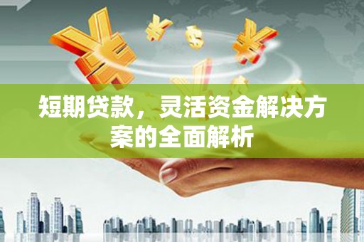 宣汉短期贷款，灵活资金解决方案的全面解析