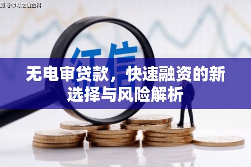 宣汉无电审贷款，快速融资的新选择与风险解析