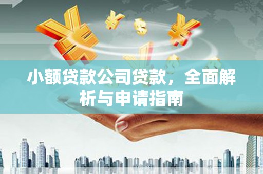 宣汉小额贷款公司贷款，全面解析与申请指南