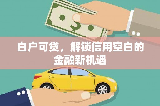 宣汉白户可贷，解锁信用空白的金融新机遇