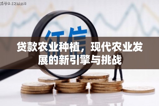 宣汉贷款农业种植，现代农业发展的新引擎与挑战