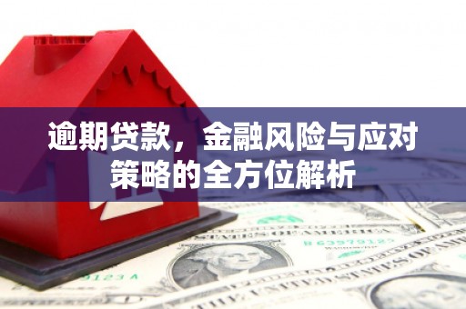 宣汉逾期贷款，金融风险与应对策略的全方位解析