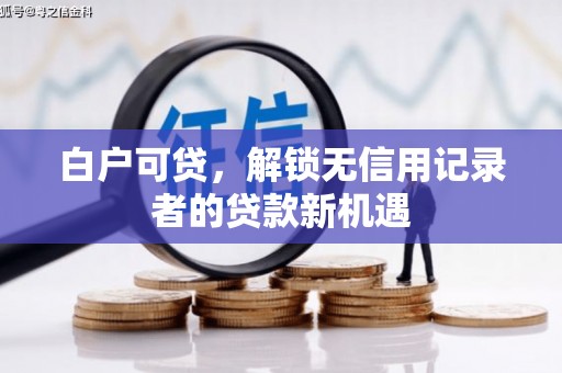 宣汉白户可贷，解锁无信用记录者的贷款新机遇