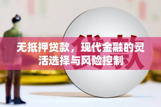 宣汉无抵押贷款，现代金融的灵活选择与风险控制