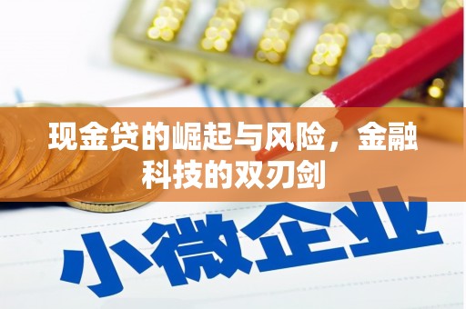 宣汉现金贷的崛起与风险，金融科技的双刃剑