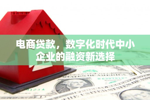 宣汉电商贷款，数字化时代中小企业的融资新选择