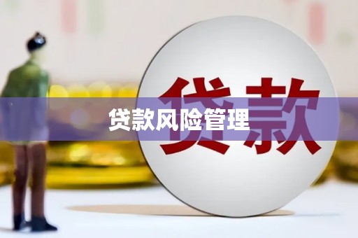 宣汉贷款风险管理