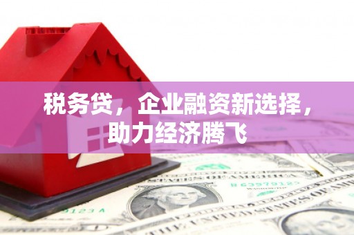 宣汉税务贷，企业融资新选择，助力经济腾飞