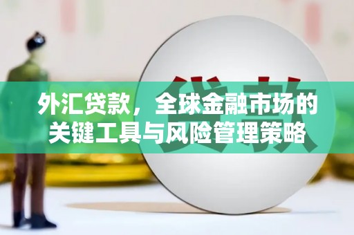 宣汉外汇贷款，全球金融市场的关键工具与风险管理策略
