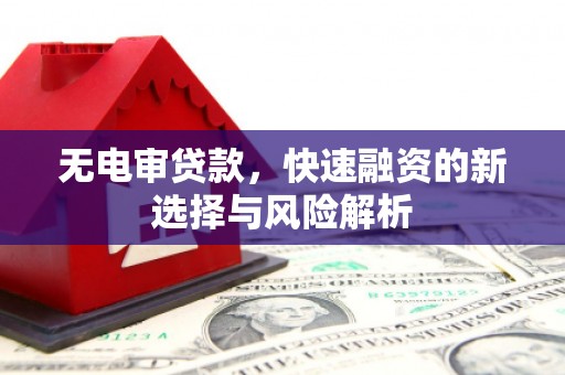 宣汉无电审贷款，快速融资的新选择与风险解析