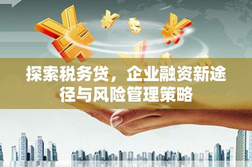 宣汉探索税务贷，企业融资新途径与风险管理策略