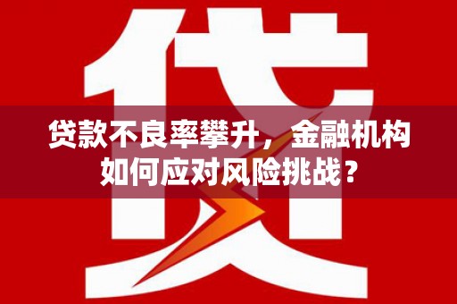 宣汉贷款不良率攀升，金融机构如何应对风险挑战？