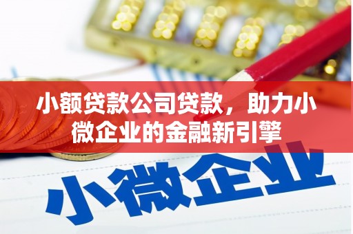 宣汉小额贷款公司贷款，助力小微企业的金融新引擎