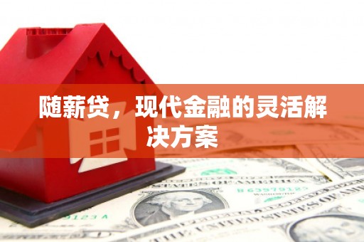 宣汉随薪贷，现代金融的灵活解决方案