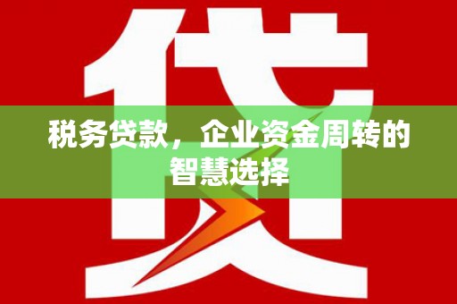 宣汉税务贷款，企业资金周转的智慧选择