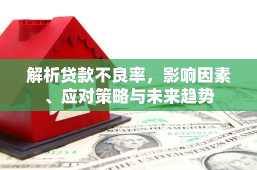 宣汉解析贷款不良率，影响因素、应对策略与未来趋势