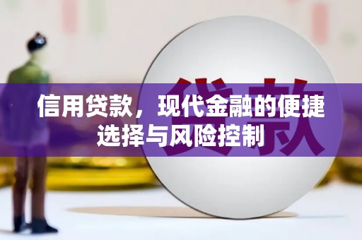 宣汉信用贷款，现代金融的便捷选择与风险控制