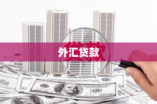 宣汉外汇贷款