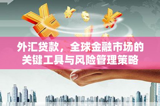 宣汉外汇贷款，全球金融市场的关键工具与风险管理策略