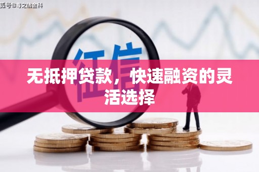 宣汉无抵押贷款，快速融资的灵活选择