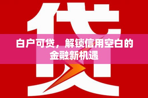 宣汉白户可贷，解锁信用空白的金融新机遇