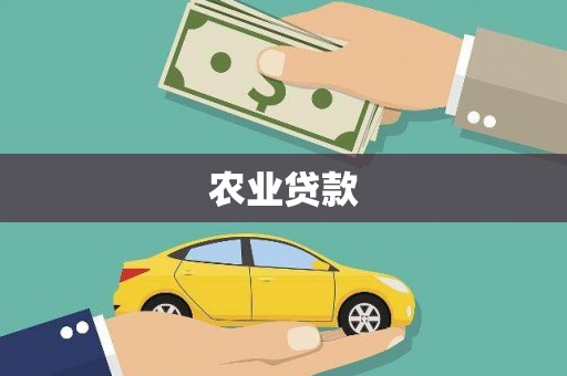 宣汉农业贷款