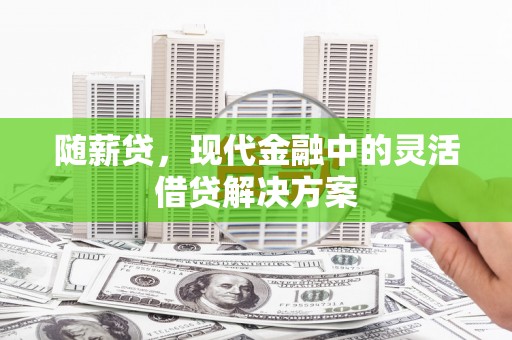 宣汉随薪贷，现代金融中的灵活借贷解决方案