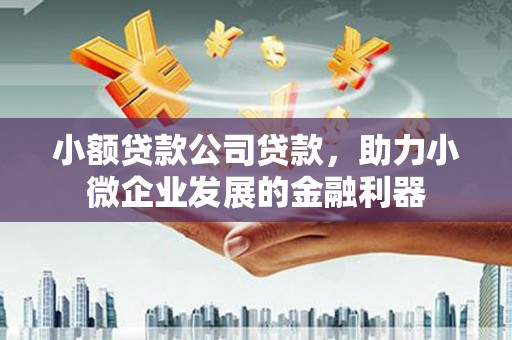 宣汉小额贷款公司贷款，助力小微企业发展的金融利器