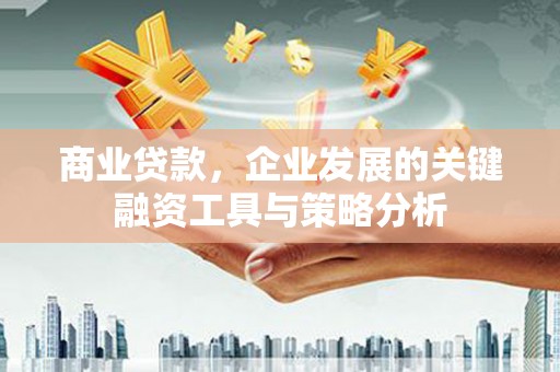 宣汉商业贷款，企业发展的关键融资工具与策略分析