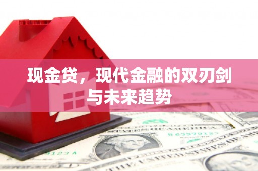 宣汉现金贷，现代金融的双刃剑与未来趋势