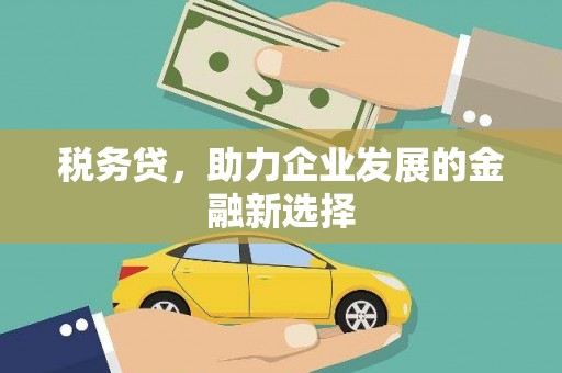 宣汉税务贷，助力企业发展的金融新选择