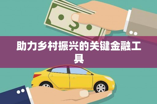 宣汉助力乡村振兴的关键金融工具