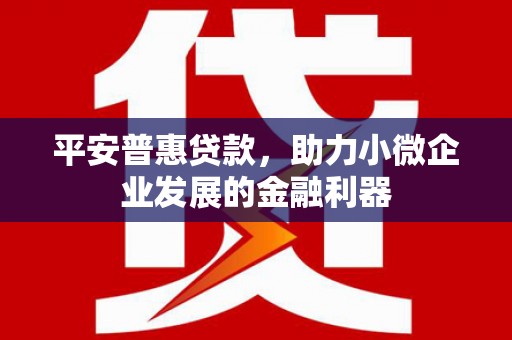 宣汉平安普惠贷款，助力小微企业发展的金融利器