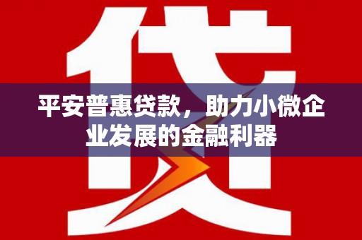宣汉平安普惠贷款，助力小微企业发展的金融利器