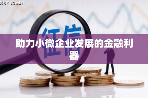 宣汉助力小微企业发展的金融利器