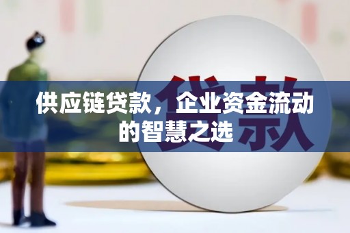 宣汉供应链贷款，企业资金流动的智慧之选