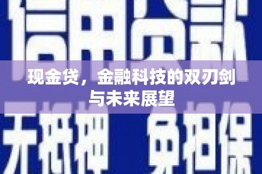 宣汉现金贷，金融科技的双刃剑与未来展望