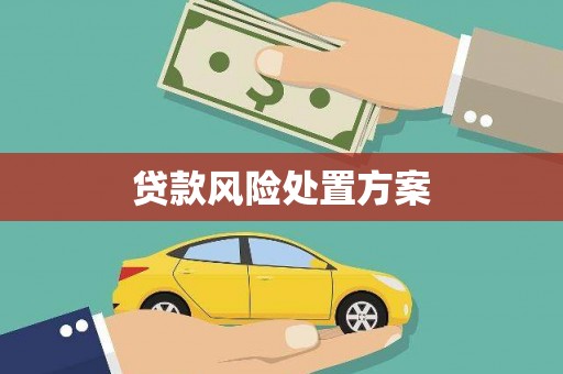 宣汉贷款风险处置方案