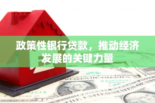 宣汉政策性银行贷款，推动经济发展的关键力量