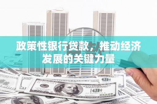 宣汉政策性银行贷款，推动经济发展的关键力量