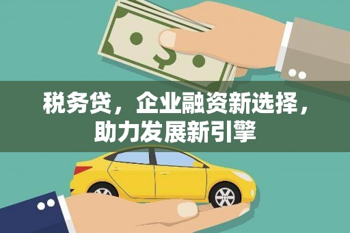宣汉税务贷，企业融资新选择，助力发展新引擎