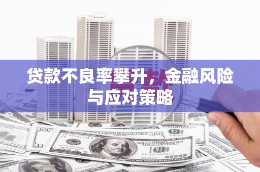 宣汉贷款不良率攀升，金融风险与应对策略