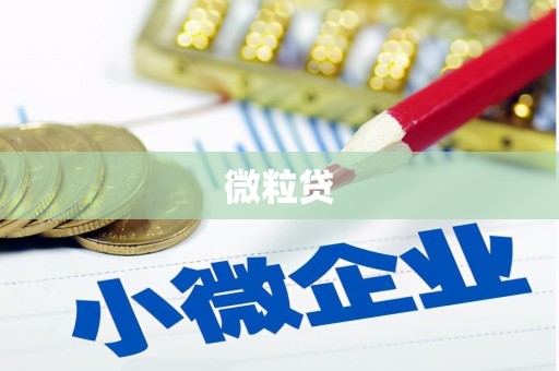 宣汉微粒贷