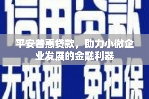 宣汉平安普惠贷款，助力小微企业发展的金融利器